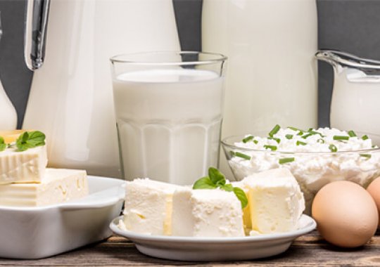 Dairy-products-factory