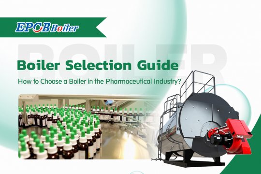 Boiler Selection Guide | How to Choose a Boiler in the Pharmaceutical Industry?