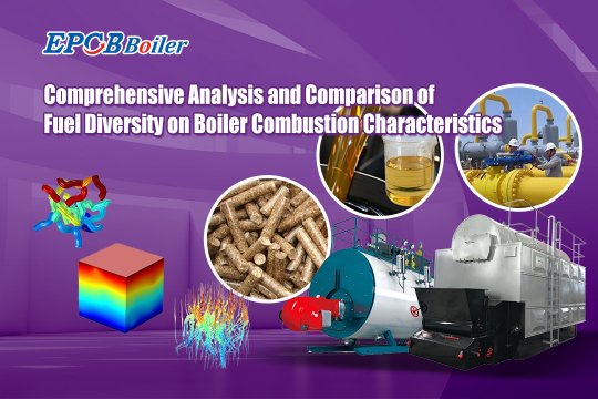 Analysis of the Effect of Different Fuels on Boiler Combustion